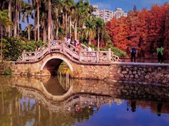 -中国科学院华南植物园