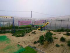-小鱼草莓采摘园农家乐·小鱼餐厅