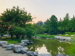 -大望京公园