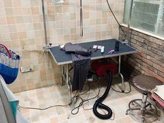 -宠颐生汉谟拉比宠物医院