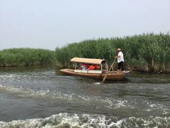 -白洋淀景区
