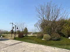 -苏州太湖国家湿地公园