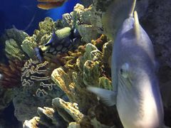 -福州罗源湾海洋世界旅游区