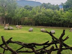 -泉州海丝野生动物世界