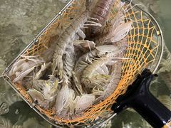 -岛中岛·海鲜大排档·万宁老字号(东澳店)