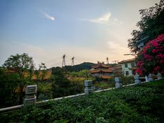 -仙岳公园