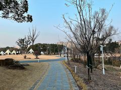 -新江湾城公园