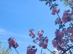 -上海植物园-4号门售票处