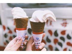 -富豪雪糕车流动点(尖沙咀店)