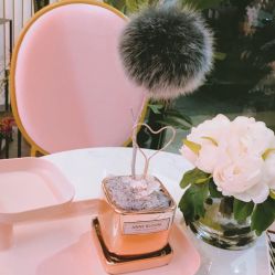 -Priscilla皮肤管理中心