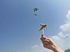 -海驴岛(荣成市)