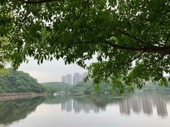 景点-重庆彩云湖湿地公园