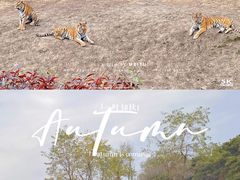 -沈阳森林动物园