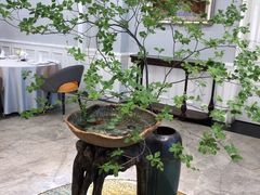 -虹御轩·传承江浙菜(虹桥店)