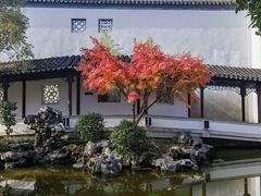 -秋霞圃