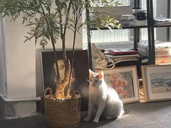 -青沐画室·专业美术培训