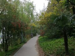 -新江湾城公园