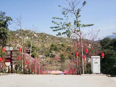 -清境桃源