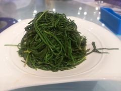 -蒙古大营·蒙古演绎餐厅(赛马场店)