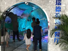 -瑞德姆美人鱼海底演艺主题餐厅(亚龙湾店)