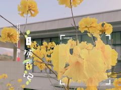 -牛岗山公园