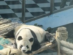 -大连森林动物园