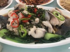 清蒸鲈鱼-胖子菜馆(隆昌路店)
