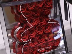 -ROSEONLY诺誓(磐基中心店)