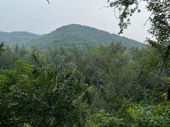 -周口店北京人遗址公园