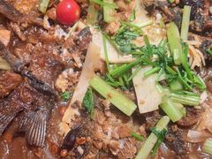 -老板恋上鱼(恒隆广场店)