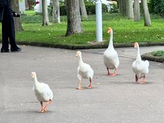 -浙江万里学院(钱湖校区)