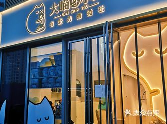 20多只布偶猫围观，有布偶必撸之