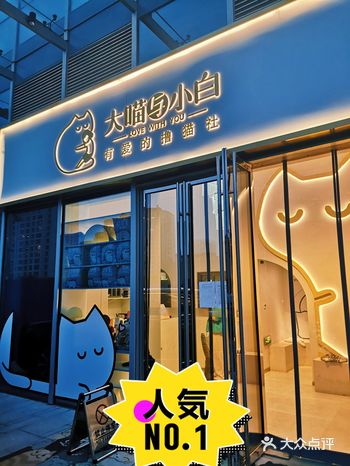 20多只布偶猫围观,有布偶必撸之