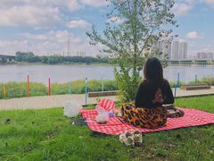 -长白岛森林公园