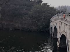 -重庆园博园