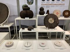 -中国茶叶博物馆(双峰馆区)