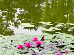 -国家植物园南园