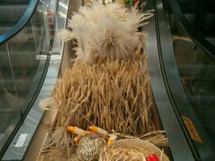 -松雷商业(南岗店)