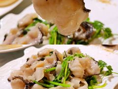 -桃源春晓中餐厅 TaoYuan Restaurant