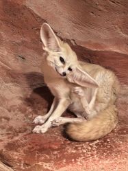 -Zoolung Zoolung动物主题公园(海信广场店)