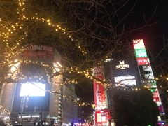 -涩谷全向十字路口