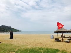 -采悦轩中餐厅·粤菜·海南菜(神州半岛喜来登度假酒店)