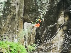 -云岫谷自然风景区