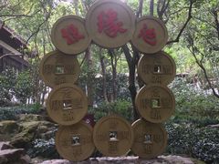 -杭州黄龙洞