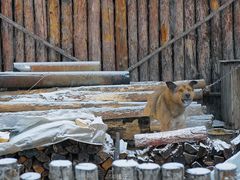 -北极村旅游风景区
