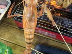 -小象钓虾·营地烧烤(洛溪店)