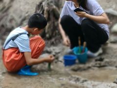 -白水寺森林公园