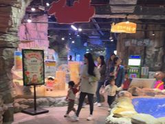 -正佳雨林生态植物园
