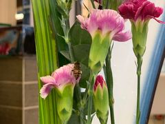 -祈胜邨•顺德鱼生•顺德菜(容桂店)
