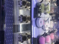 -野人先生现做冰淇淋(北京顺义祥云小镇店)